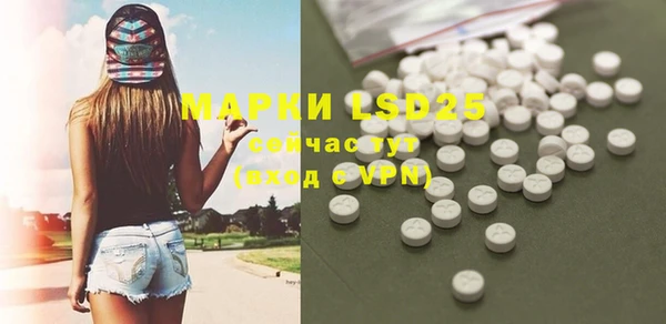 сатива Алзамай