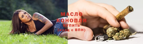 сатива Алзамай