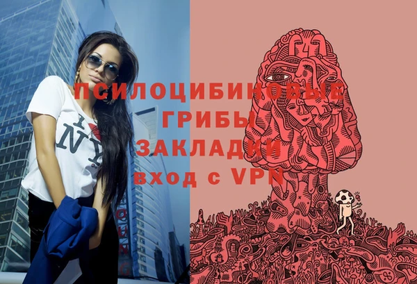 сатива Алзамай