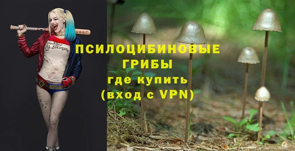 Альфа ПВП Алексин