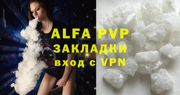 сатива Алзамай