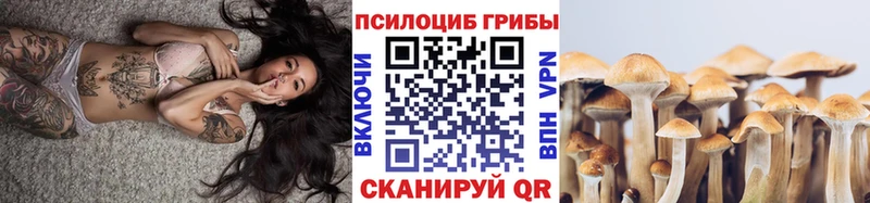 купить наркотик Дубна Псилоцибиновые грибы Cubensis
